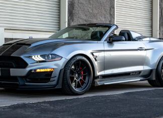 Nuevo Shelby super snake