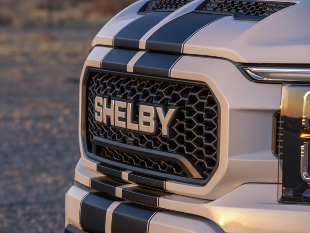Shelby Ford F-150 4x4 9