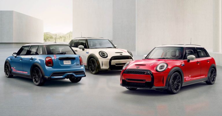 Mini 20 años