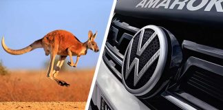 Volkswagen-Australia-logo-canguros