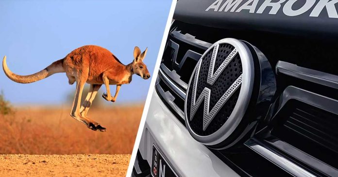 Volkswagen-Australia-logo-canguros