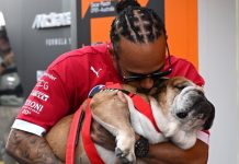 Roscoe Lewis Hamilton