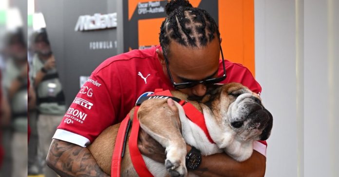 Roscoe Lewis Hamilton