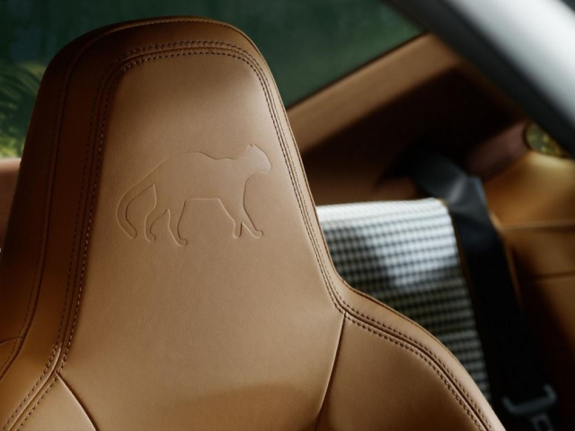 Porsche 911 GT3 Ocelote