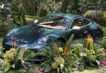 Porsche 911 GT3 Autoelite Ocelote