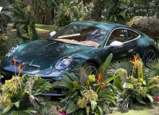 Porsche 911 GT3 Autoelite Ocelote