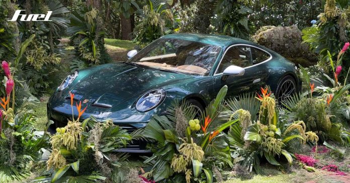 Porsche 911 GT3 Autoelite Ocelote